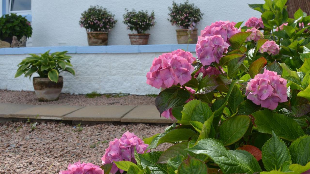 Springbank Bed & Breakfast Mallaig Bagian luar foto