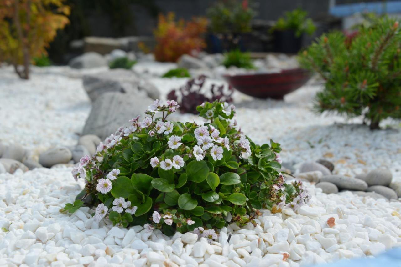 Springbank Bed & Breakfast Mallaig Bagian luar foto